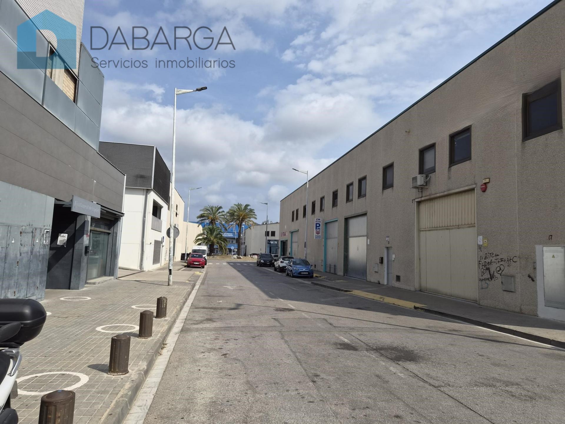 Imagen-6