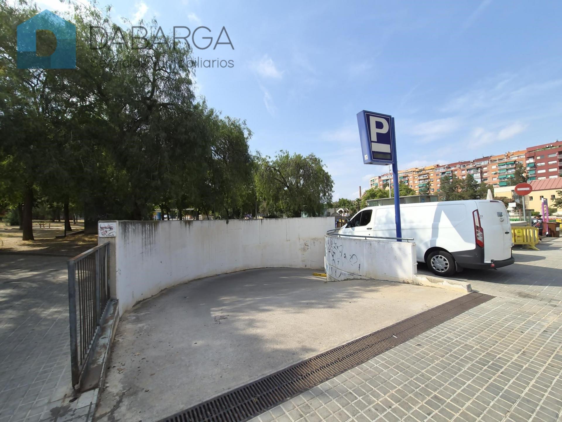 Imagen-8